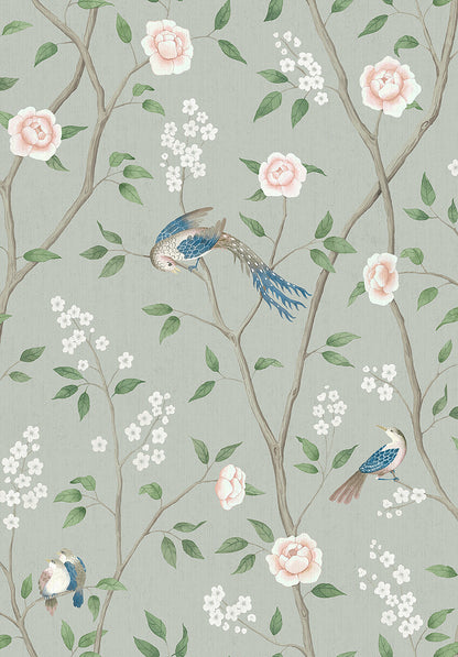 Paradise Birds - 1903