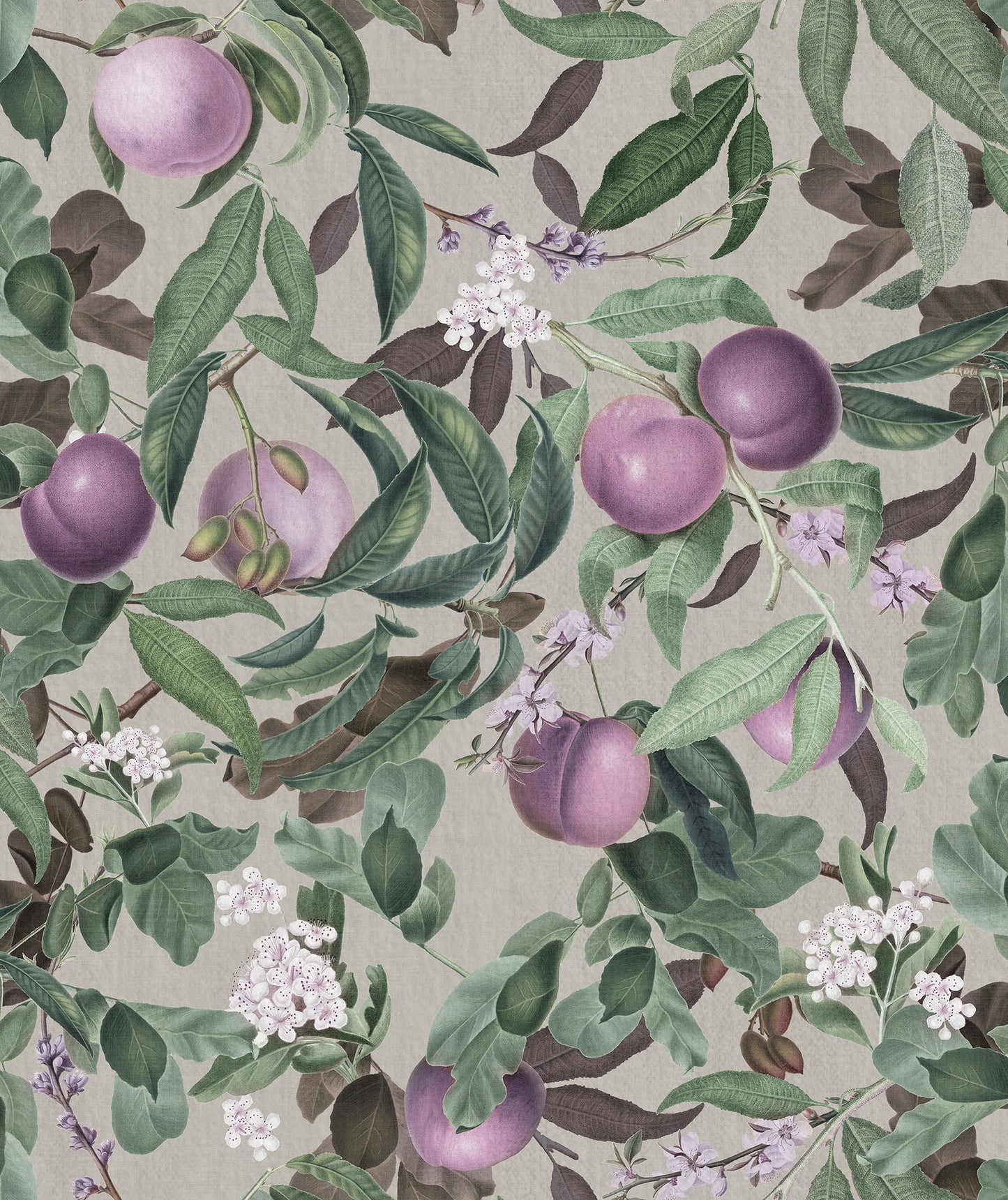 Peach Valley, Lilac - R17991