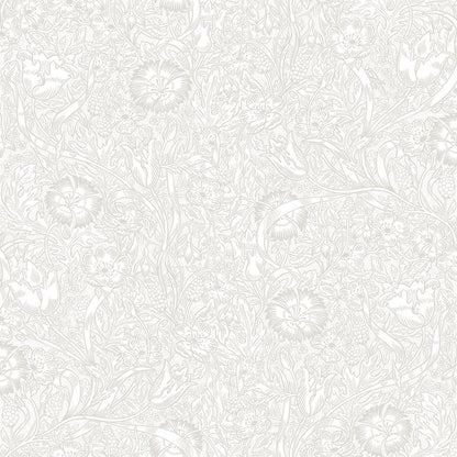 Caroline Sandstone - S10209