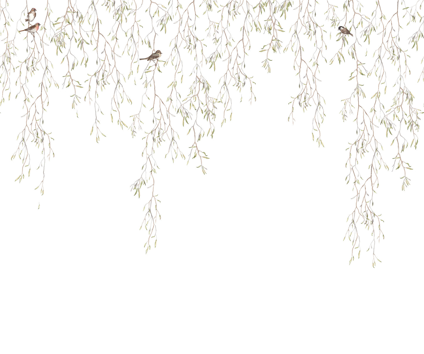 Spring Birds - 9447W