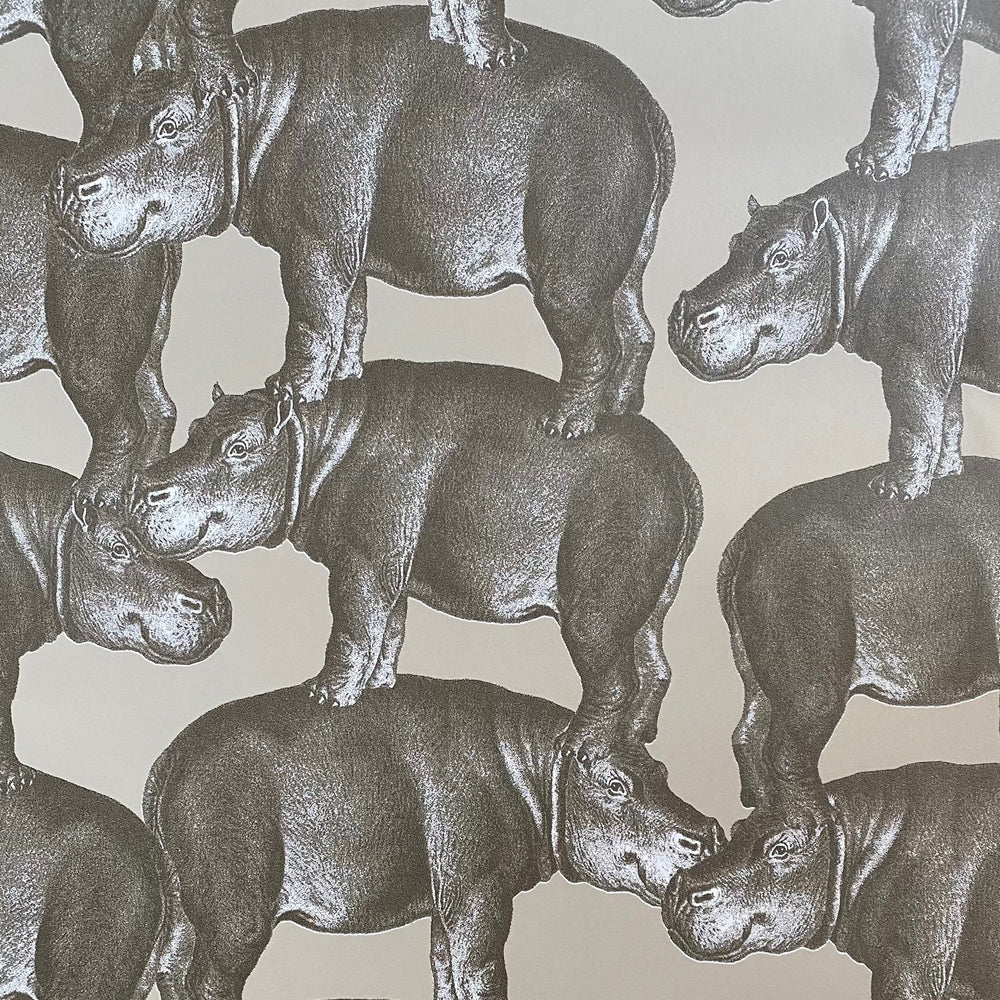Hippo - 1417