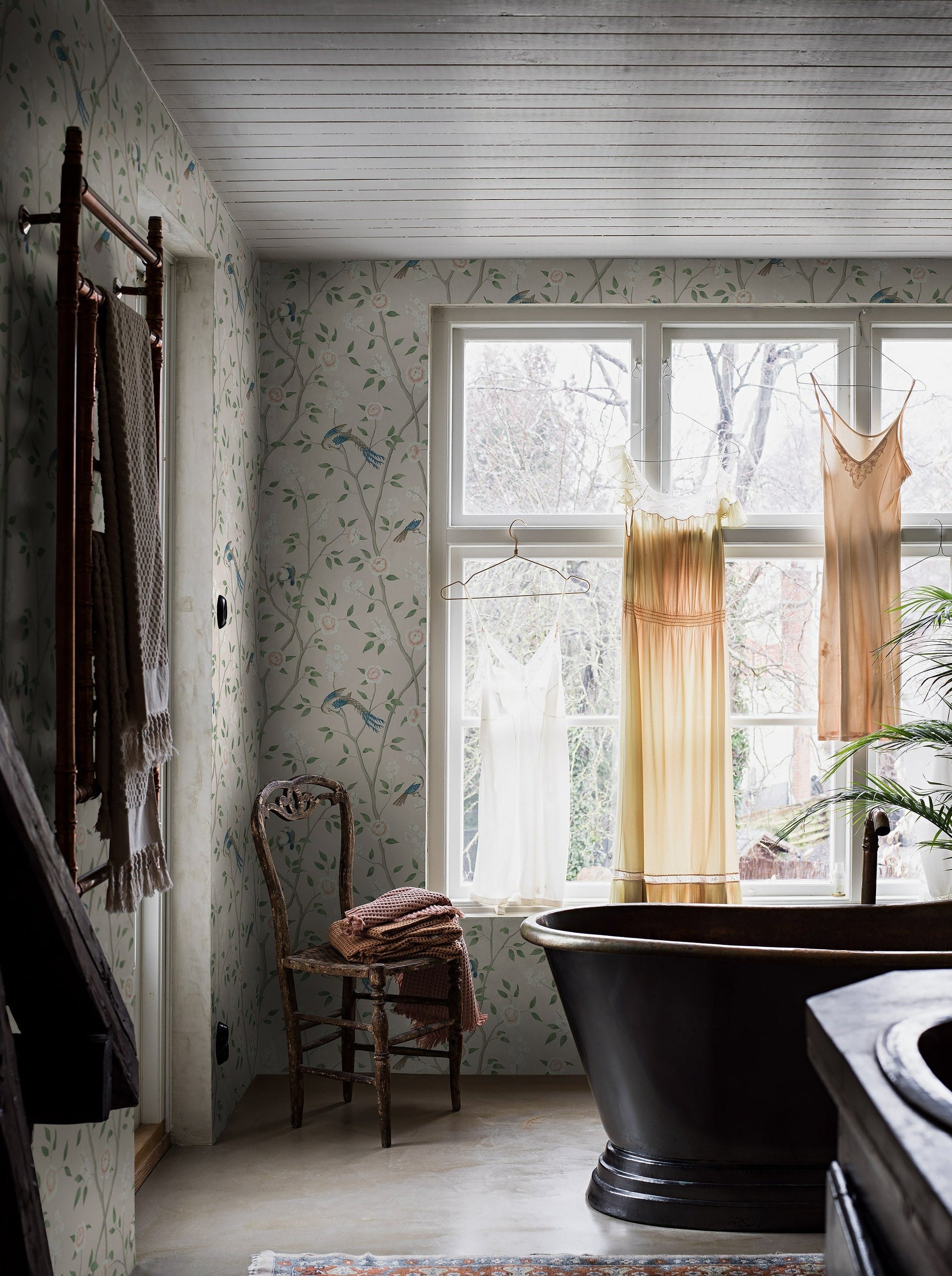 paradisebirds.com Paradise Birds - 4270 – Scandinavian Wallpaper